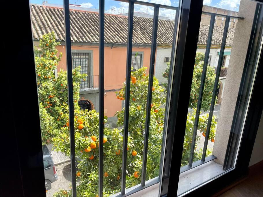 El Balcon De Los Naranjos Кордоба Екстериор снимка